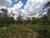 Terreno, 2500 m² - Foto 3