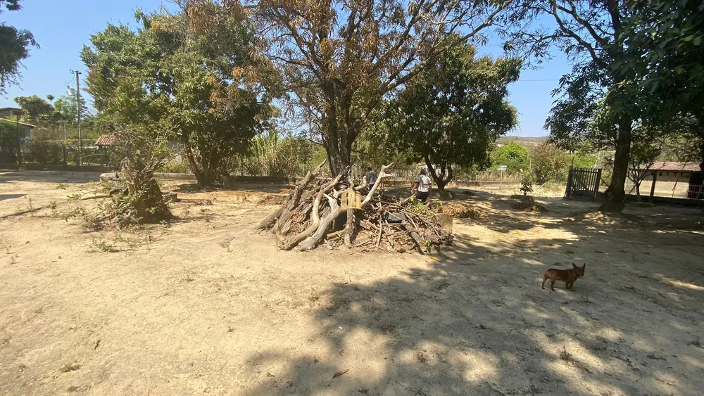 Sítio, 4 quartos, 1 hectares - Foto 9