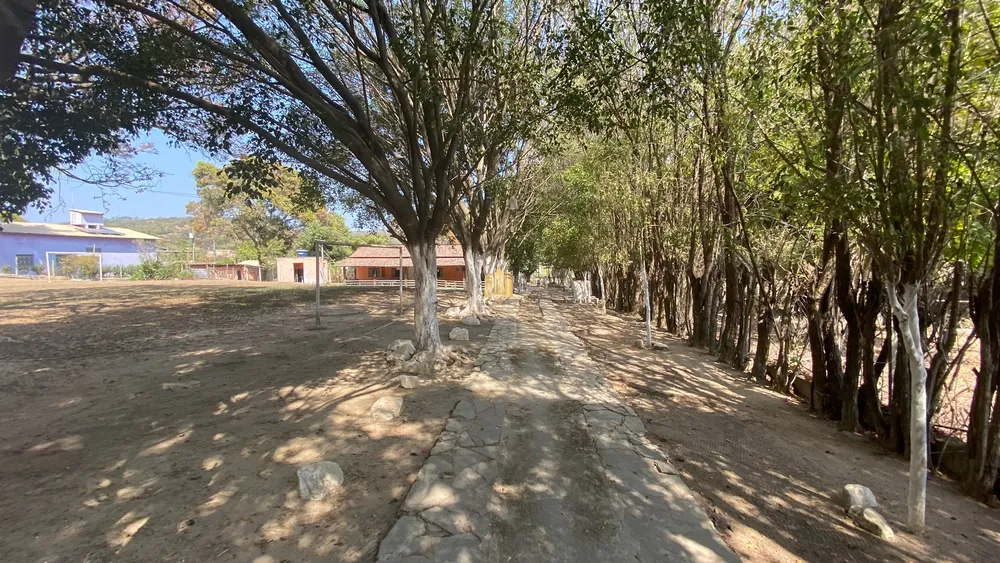 Sítio, 4 quartos, 1 hectares - Foto 4