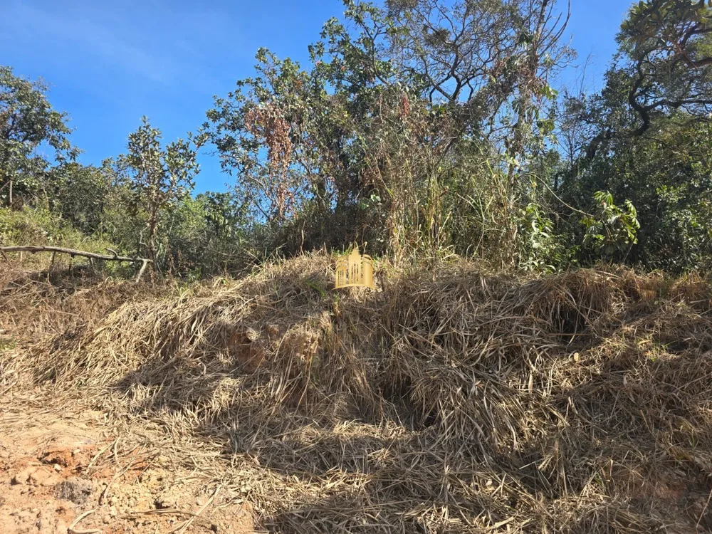Loteamento e Condomínio, 2 hectares - Foto 4
