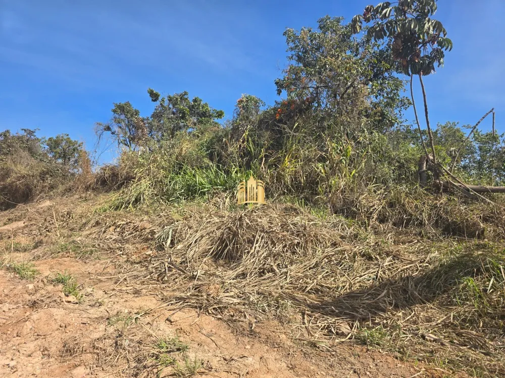 Loteamento e Condomínio, 2 hectares - Foto 2