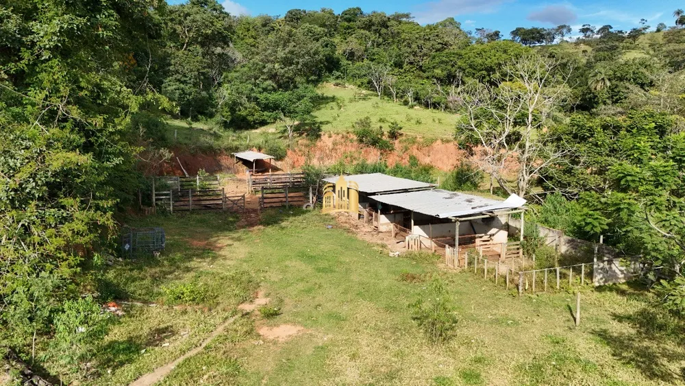 Fazenda, 3 hectares - Foto 4