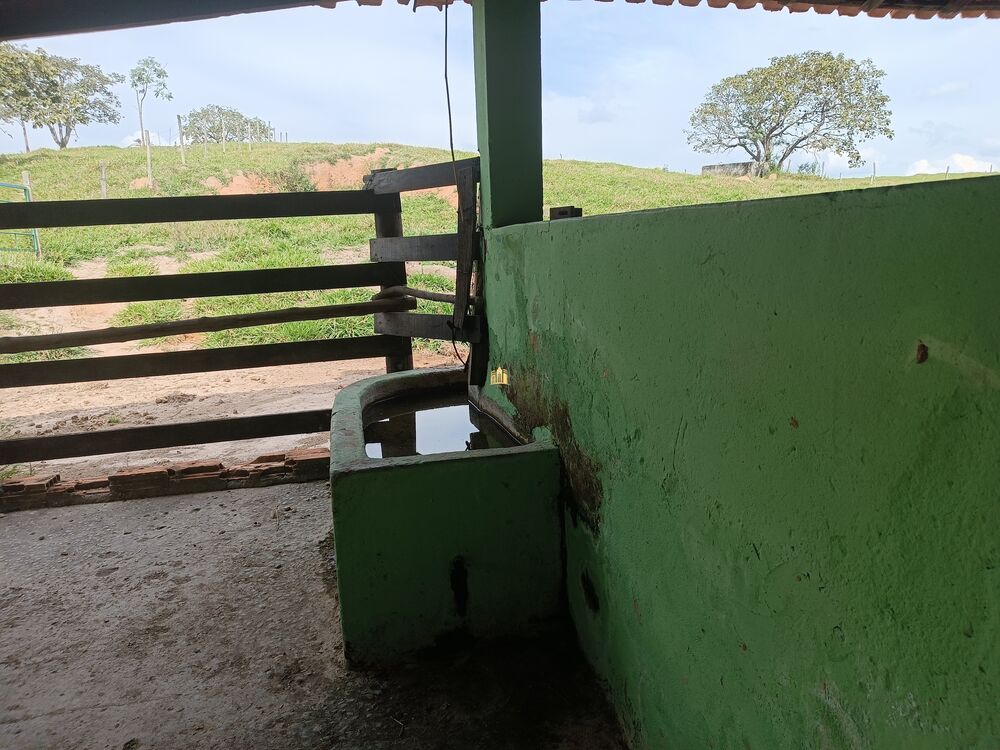 Fazenda, 22 hectares - Foto 4