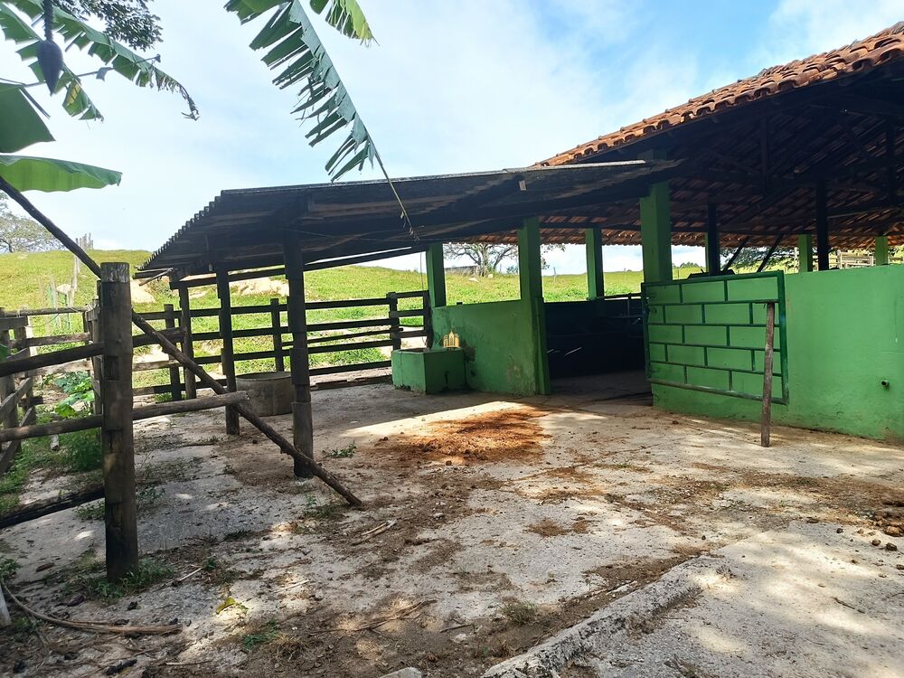 Fazenda, 22 hectares - Foto 3