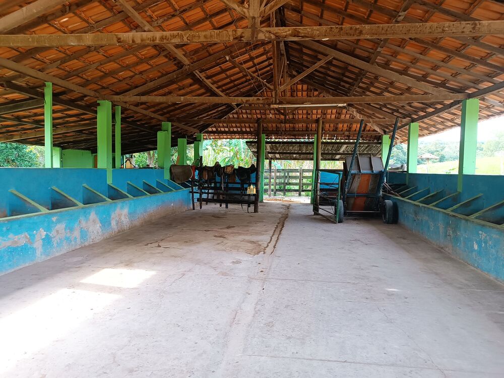 Fazenda, 22 hectares - Foto 5