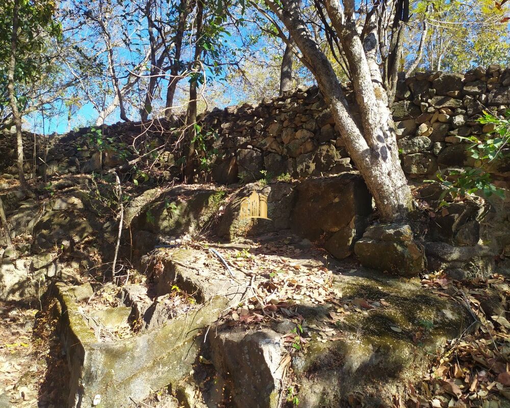 Fazenda, 66 hectares - Foto 2