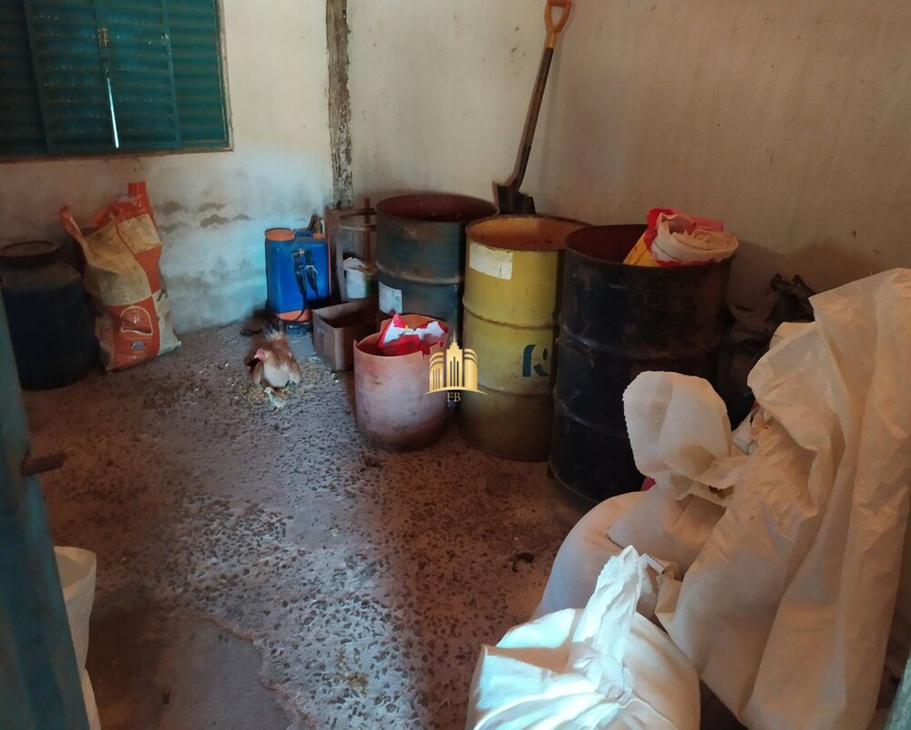 Fazenda, 66 hectares - Foto 8