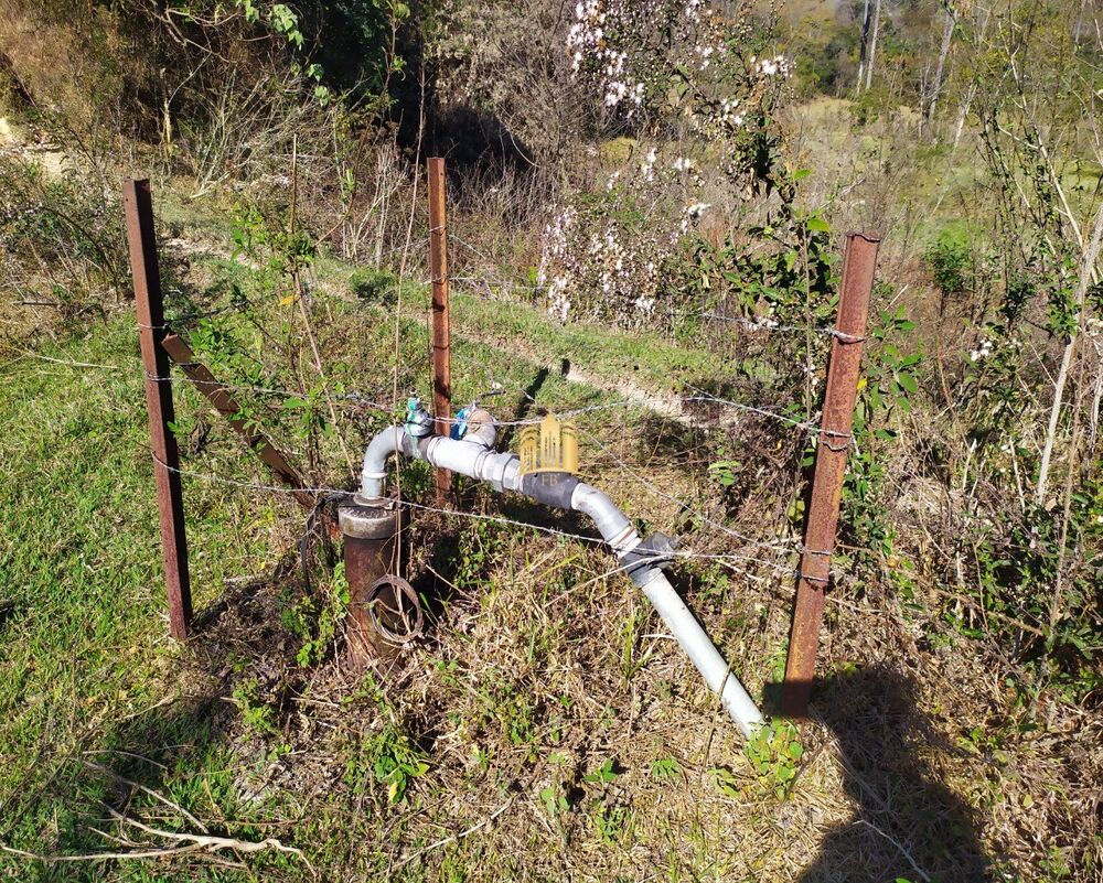 Fazenda, 66 hectares - Foto 6