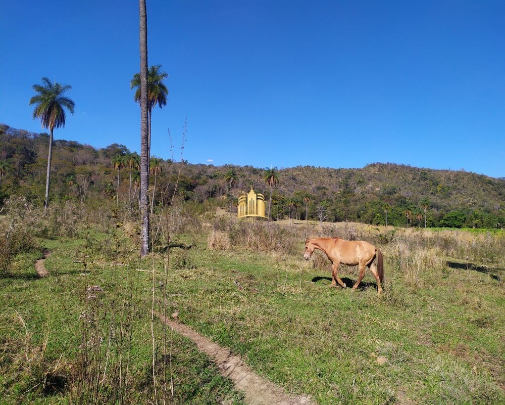 Fazenda, 66 hectares - Foto 4