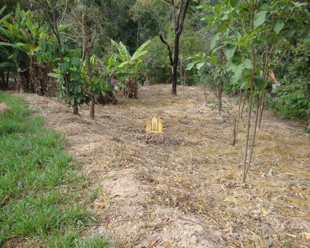 Terreno, 4000 m² - Foto 5