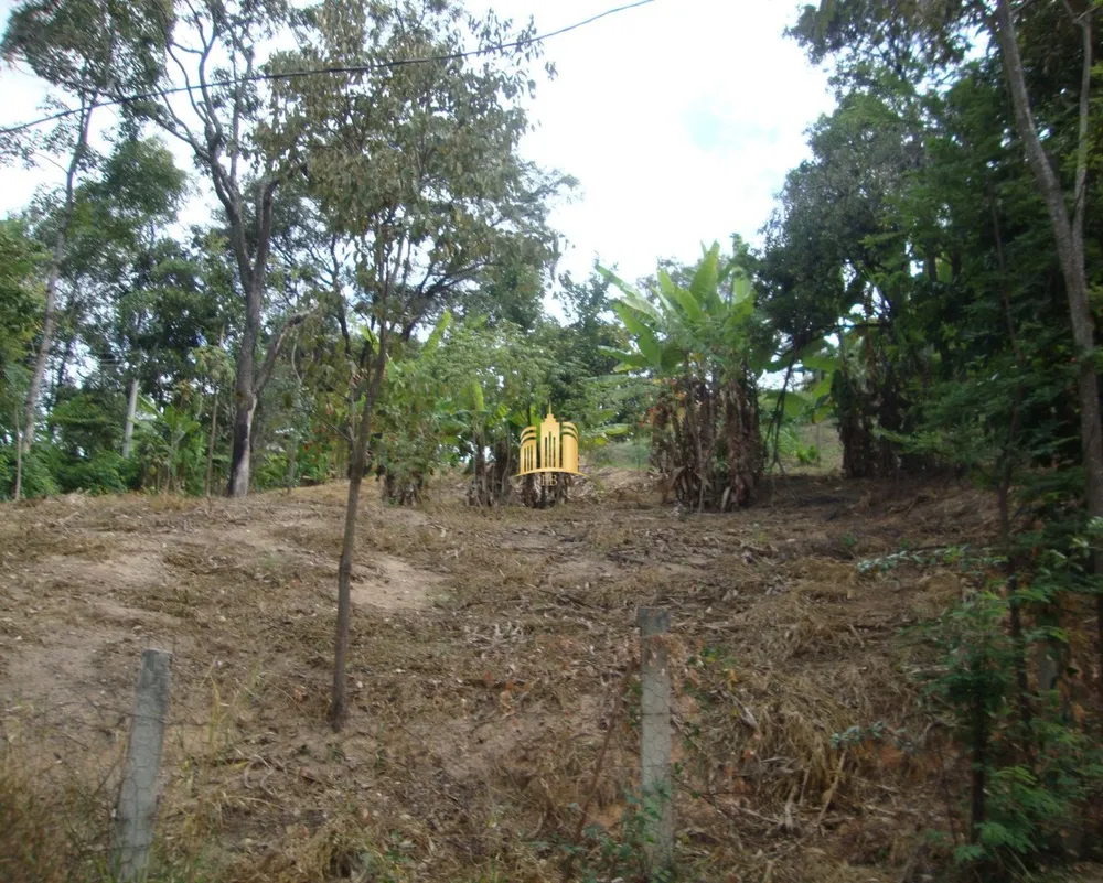 Terreno, 4000 m² - Foto 12