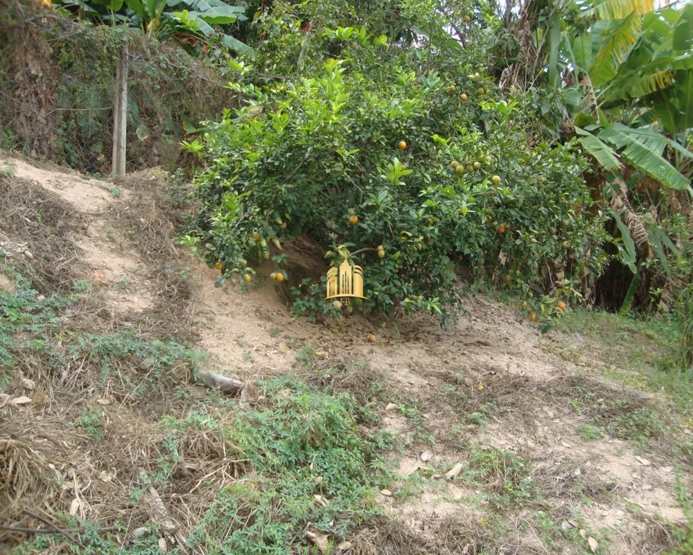 Terreno, 4000 m² - Foto 16