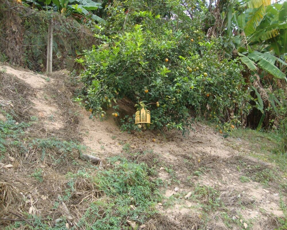Terreno, 4000 m² - Foto 6