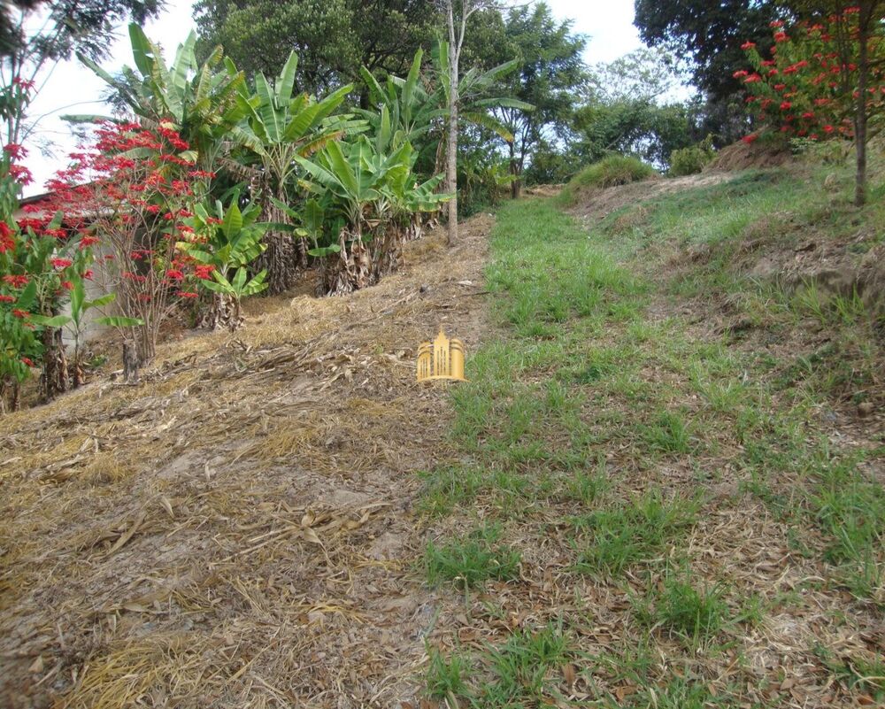 Terreno, 4000 m² - Foto 1