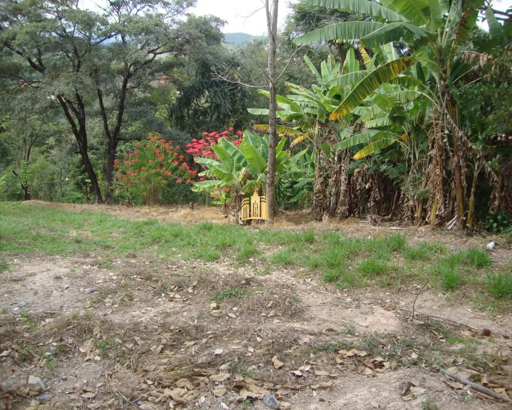 Terreno, 4000 m² - Foto 17