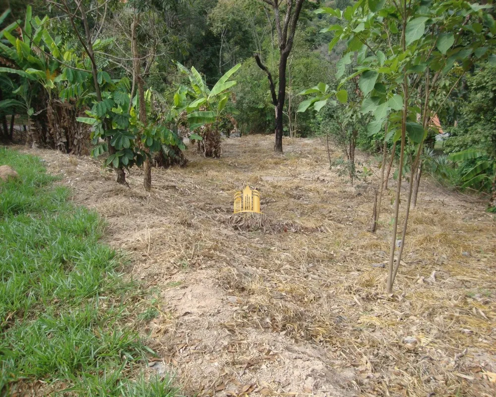 Terreno, 4000 m² - Foto 11