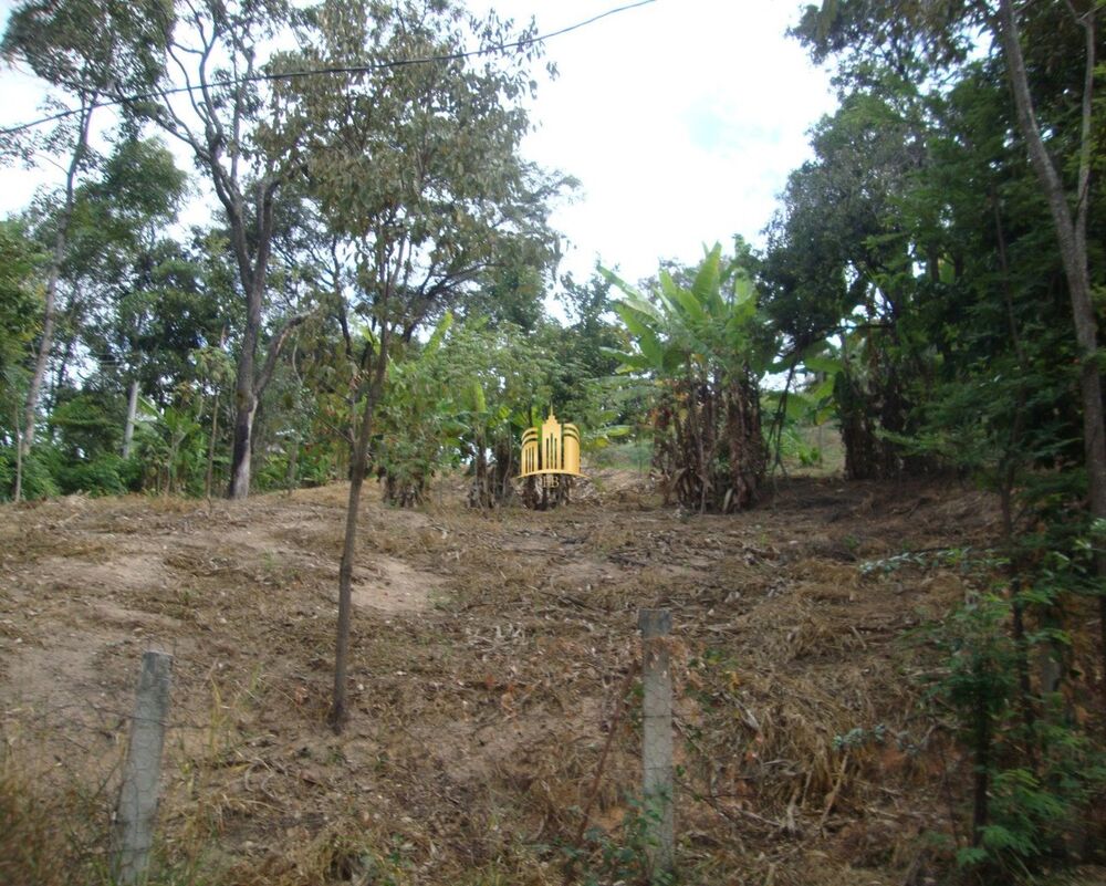 Terreno, 4000 m² - Foto 3