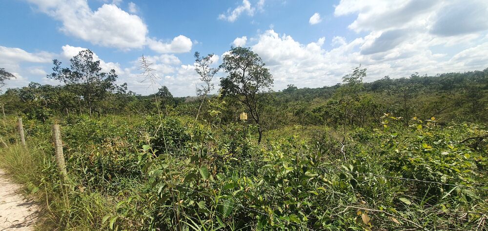 Terreno, 14 m² - Foto 6