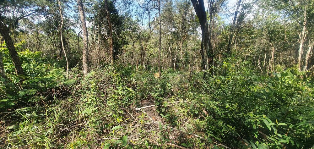 Terreno, 14 m² - Foto 8