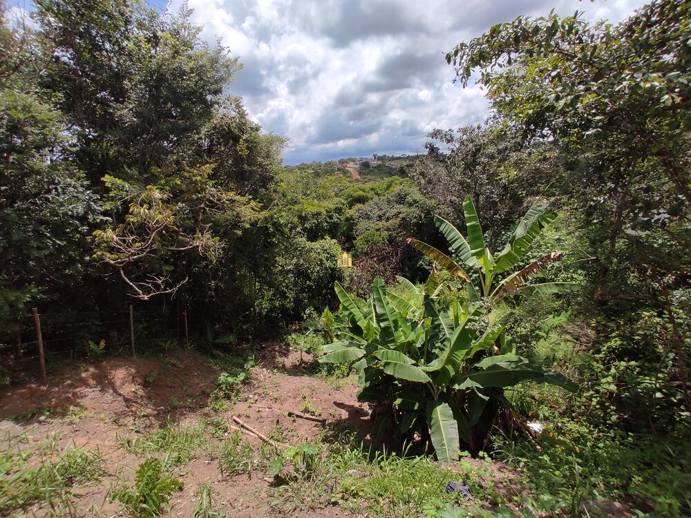 Casa à venda com 4 quartos, 360m² - Foto 8