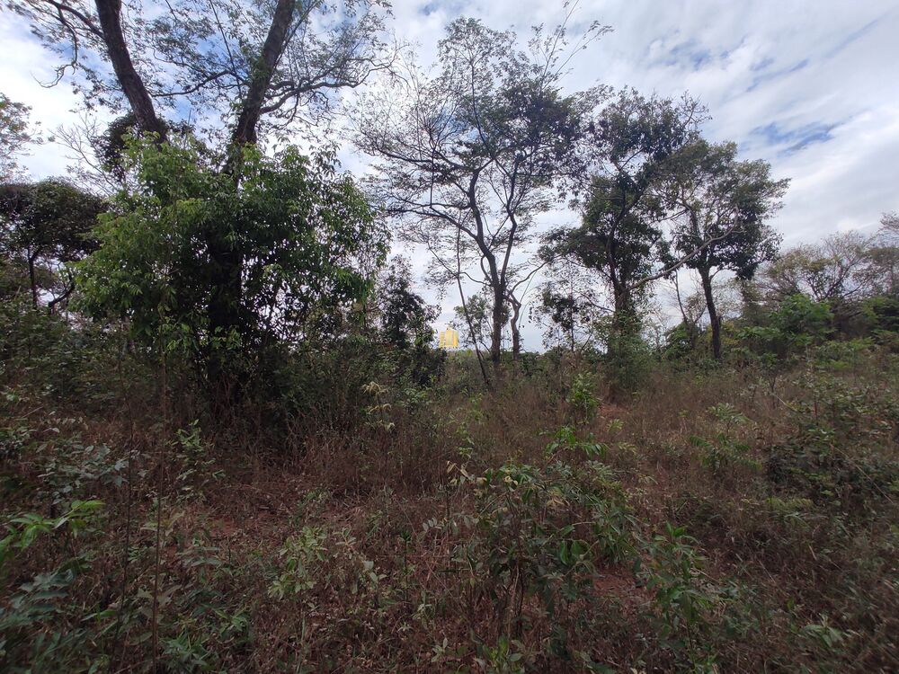 Terreno, 1000 m² - Foto 7