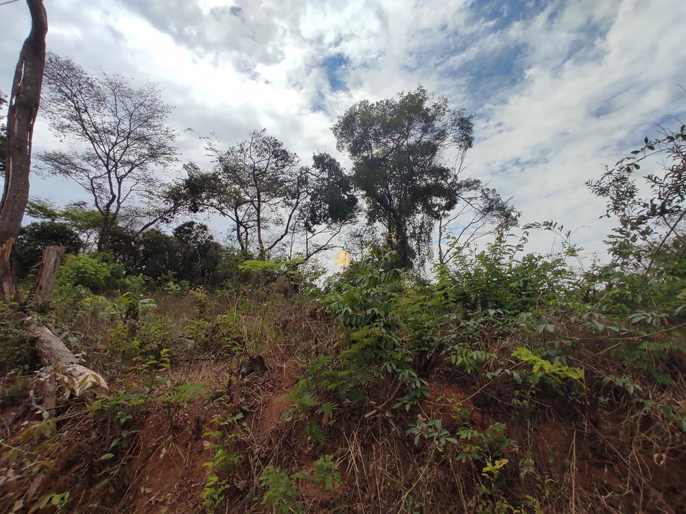 Terreno, 1000 m² - Foto 7