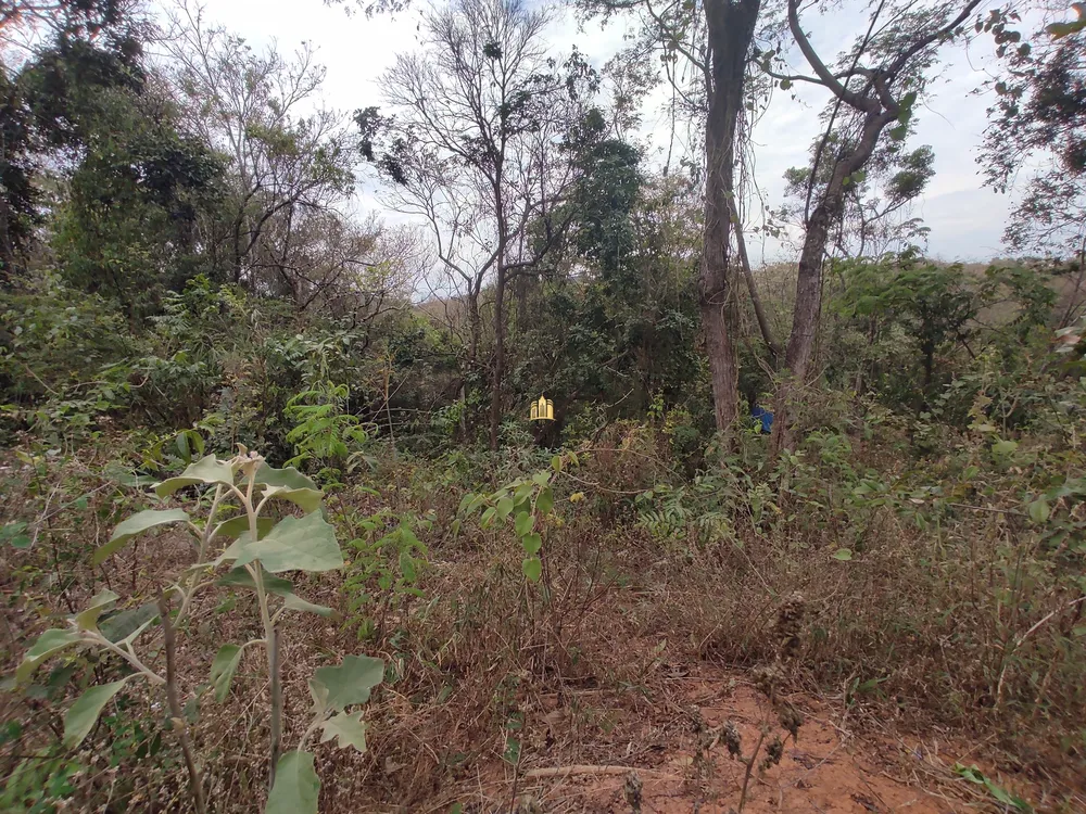 Terreno, 1000 m² - Foto 11