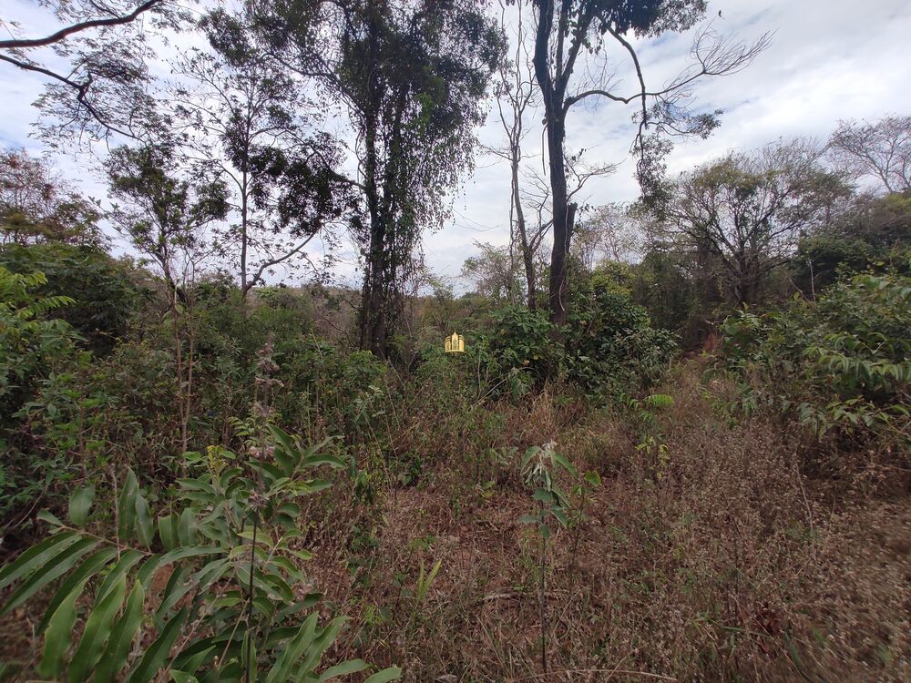 Terreno, 1000 m² - Foto 6