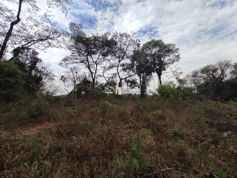 Terreno, 1000 m² - Foto 8