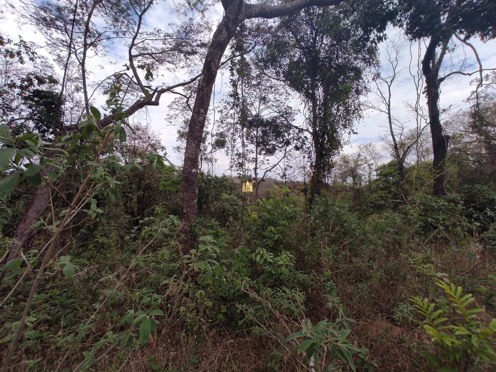 Terreno, 1000 m² - Foto 12