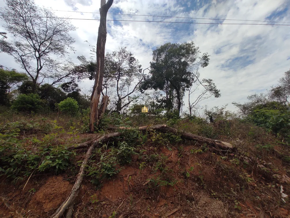 Terreno, 1000 m² - Foto 3