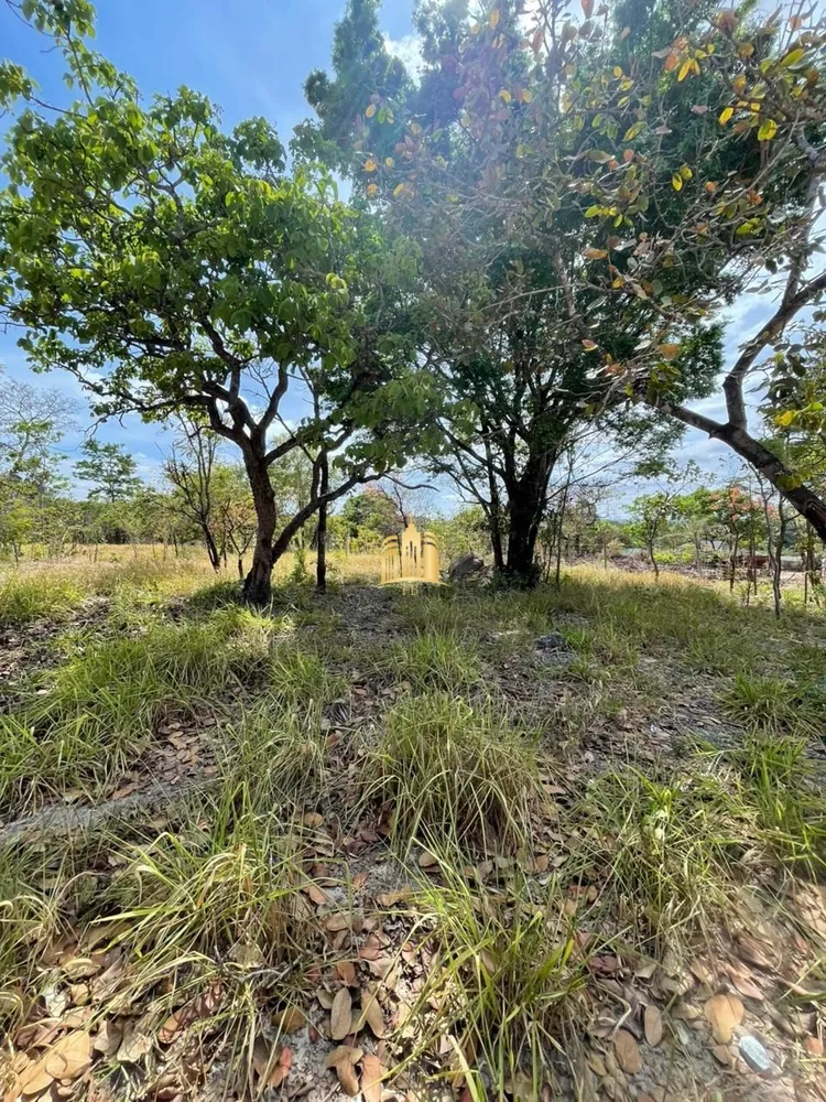 Terreno, 1000 m² - Foto 7