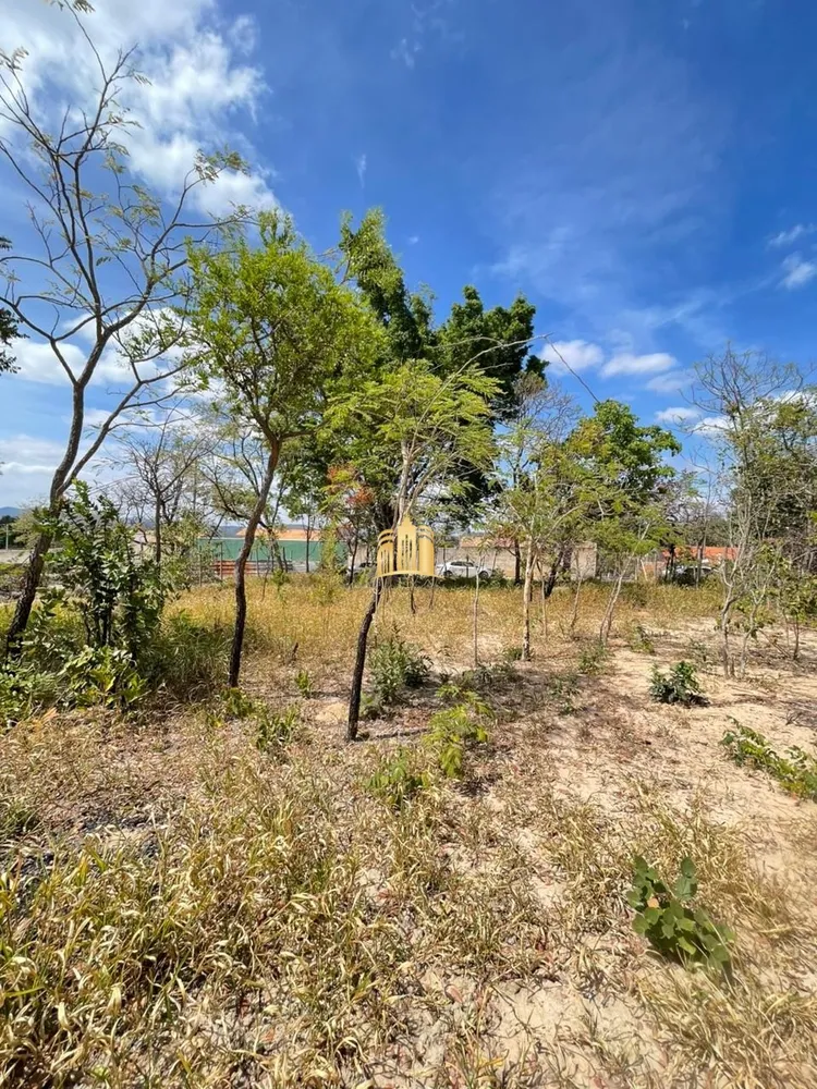 Terreno, 1000 m² - Foto 4