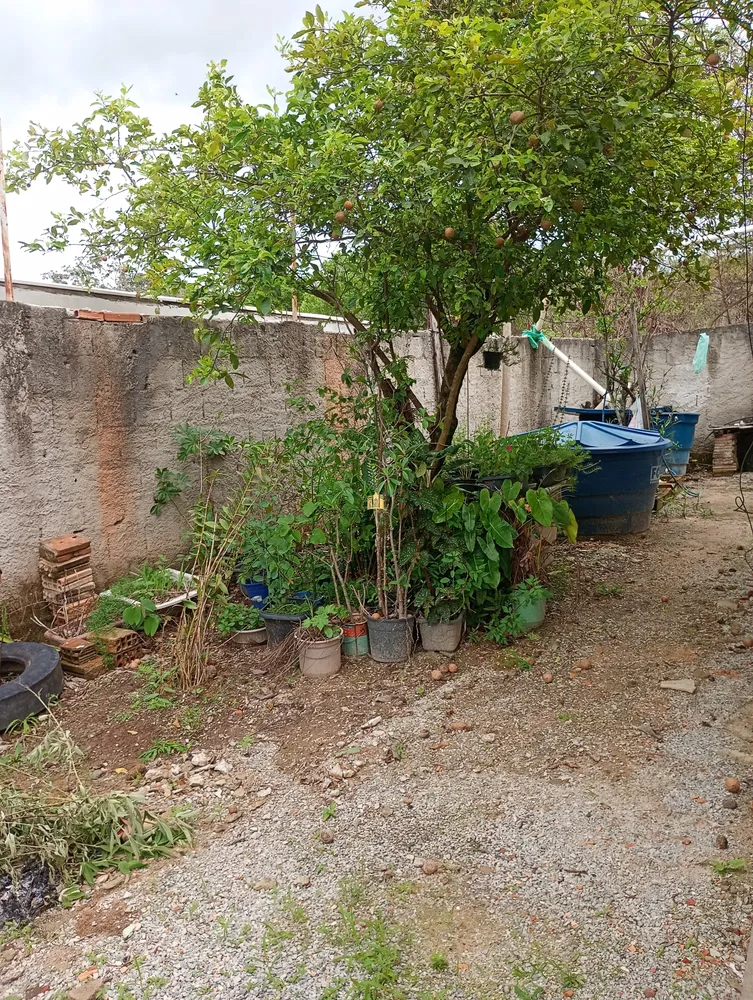 Sítio, 2 quartos, 410 m² - Foto 13
