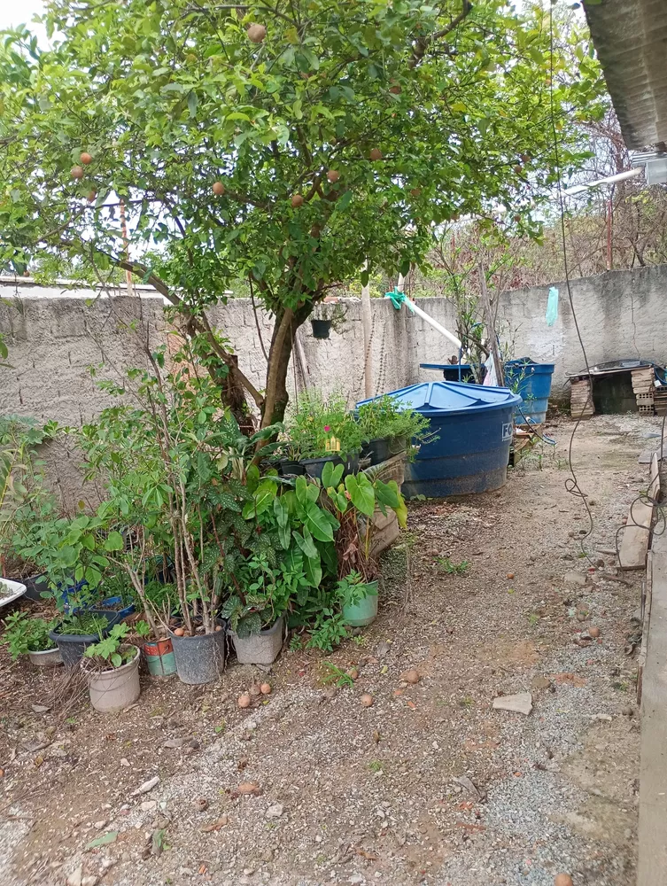 Sítio, 2 quartos, 410 m² - Foto 3