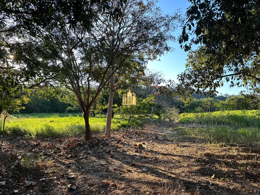 Sítio, 4 quartos, 1000 m² - Foto 2