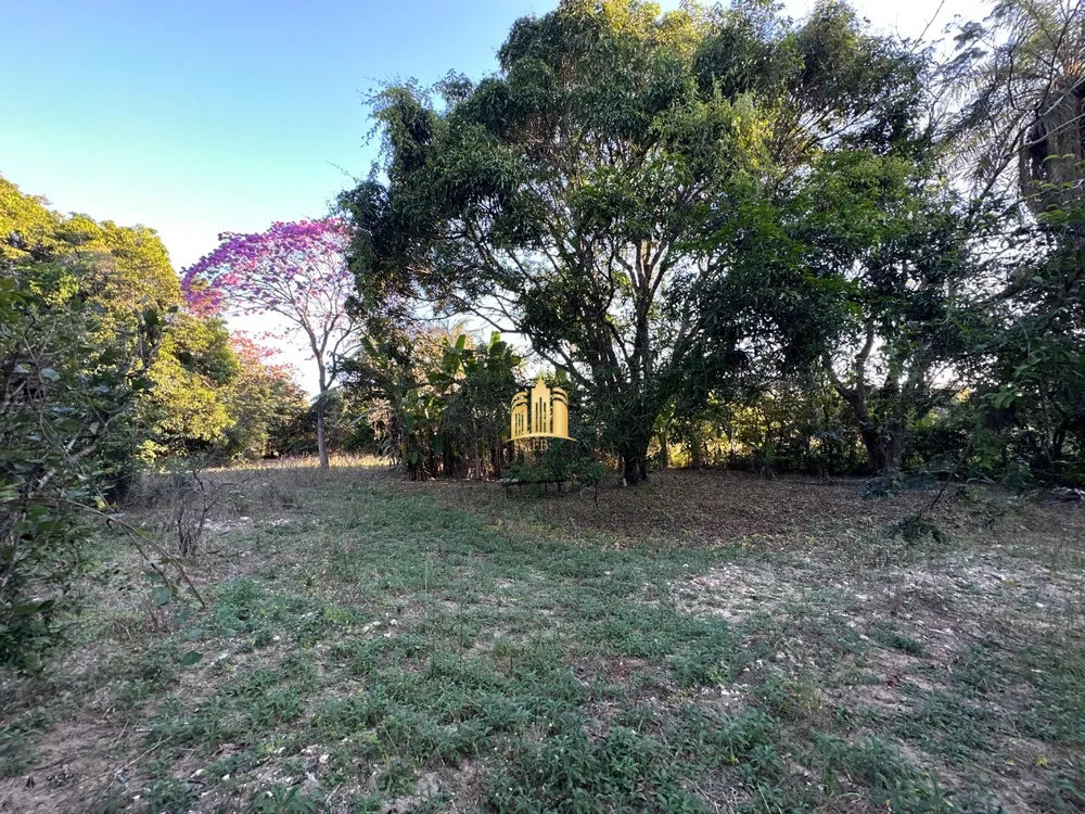 Sítio, 4 quartos, 1000 m² - Foto 6