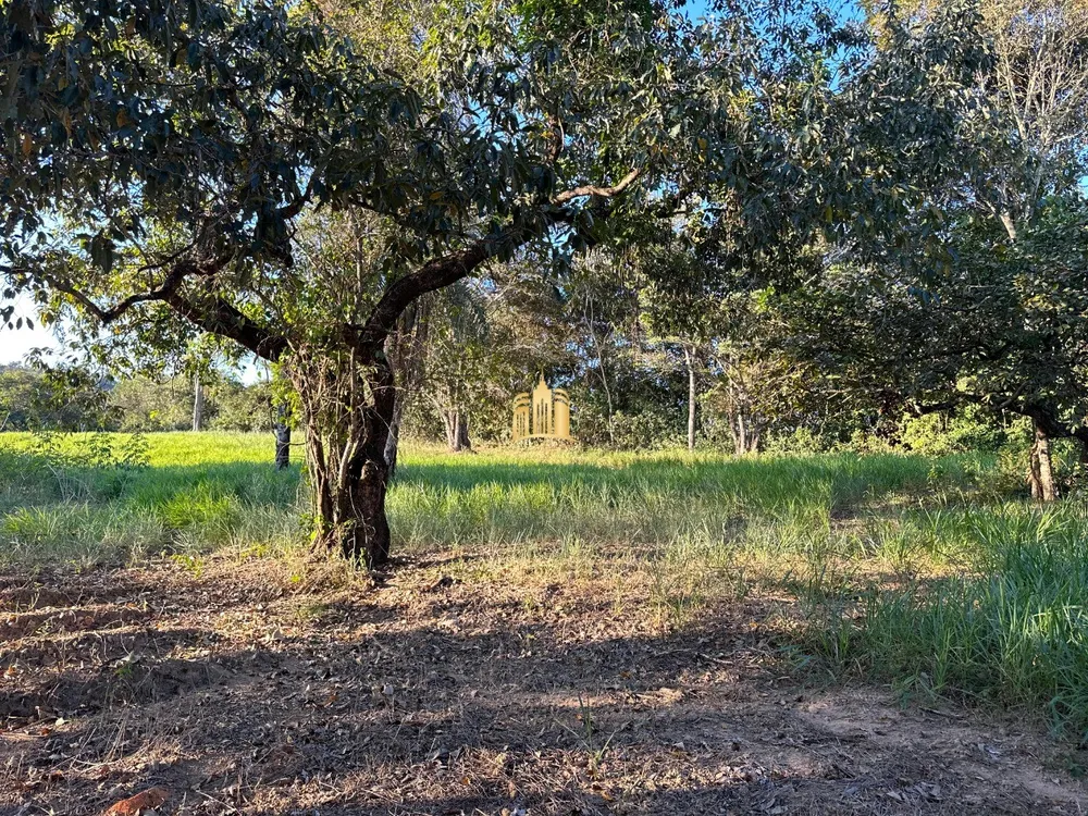 Sítio, 4 quartos, 1000 m² - Foto 4