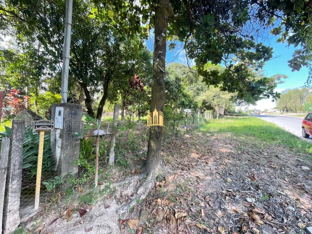 Sítio, 3 quartos, 2160 m² - Foto 11