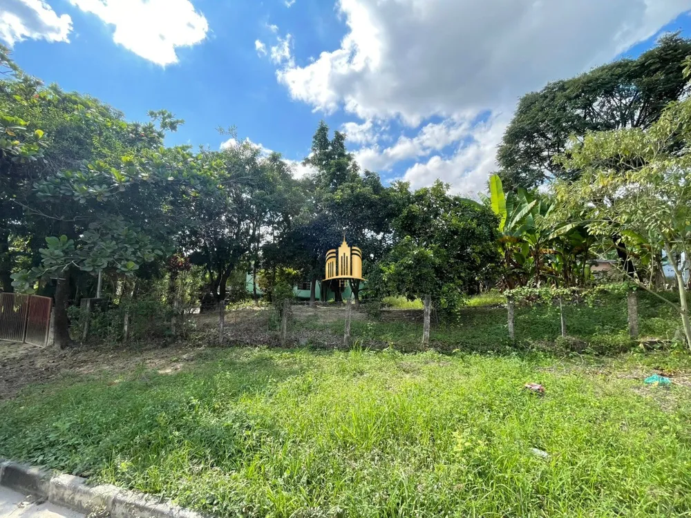 Sítio, 3 quartos, 2160 m² - Foto 2