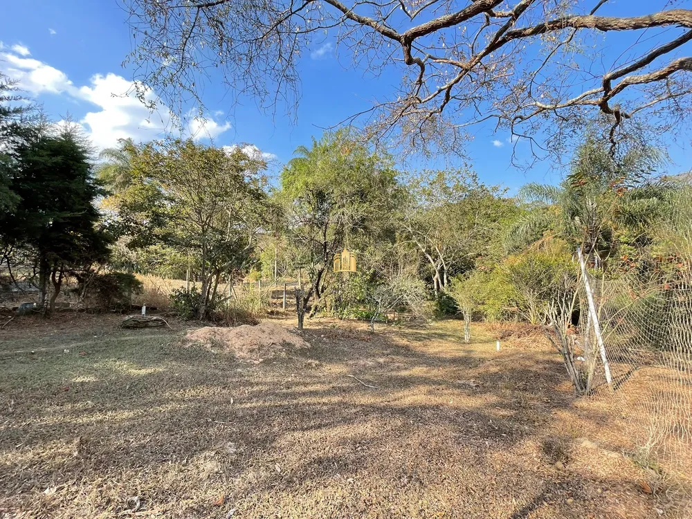 Sítio, 3 quartos, 5600 m² - Foto 1