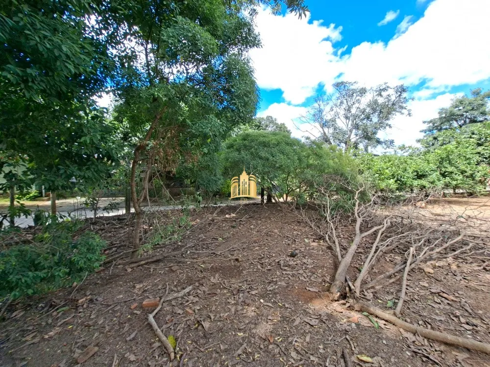 Depósito-Galpão - Foto 6
