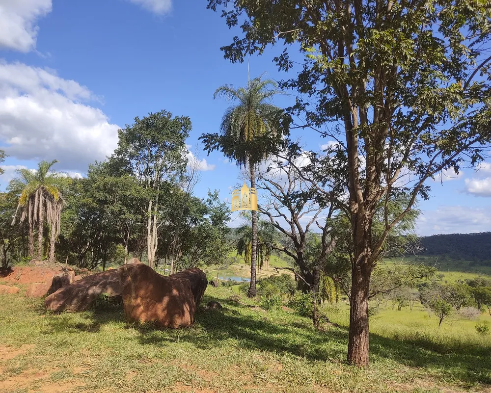Terreno, 2 hectares - Foto 16