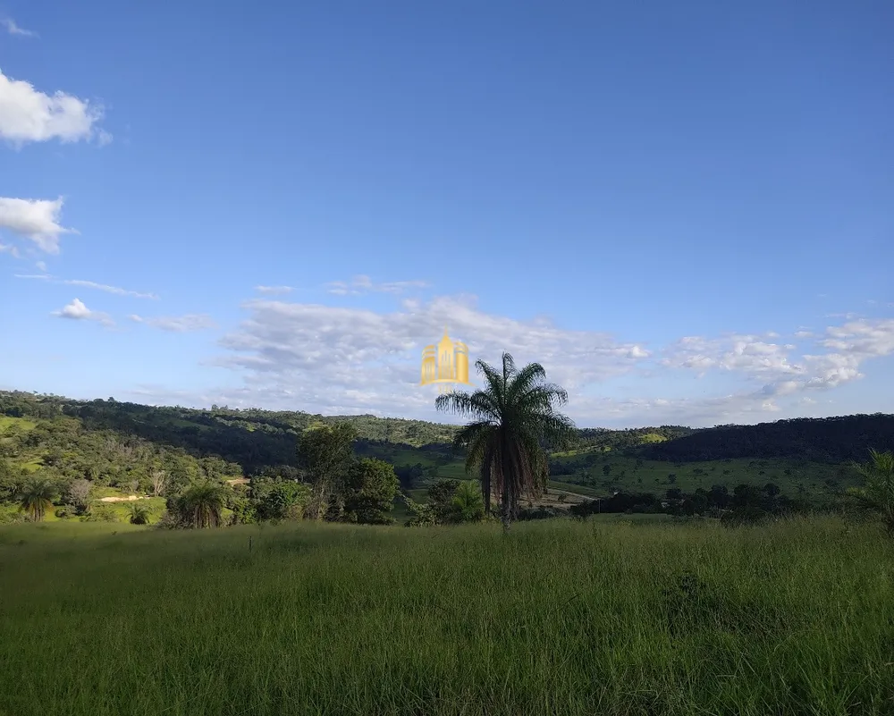 Terreno, 2 hectares - Foto 20