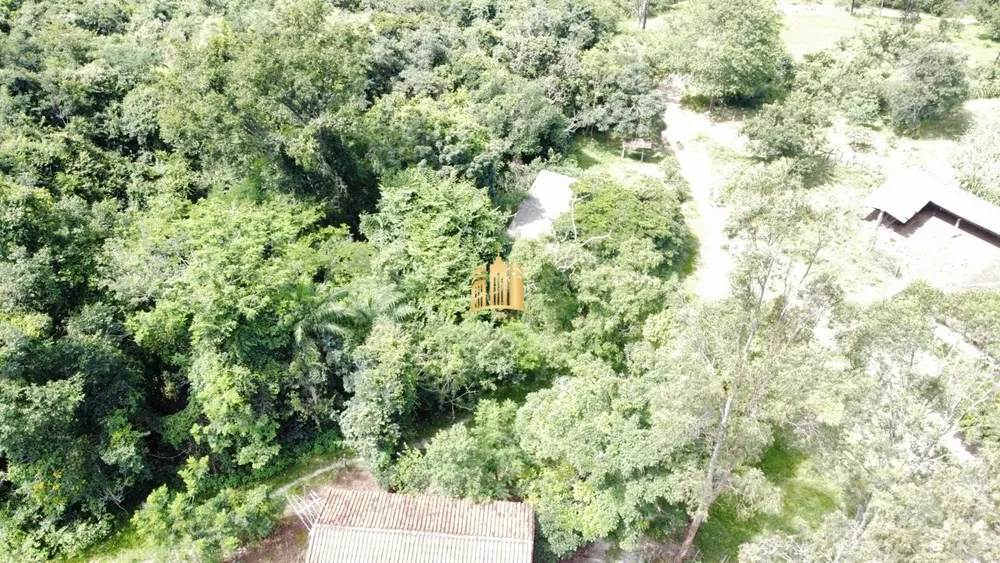 Fazenda, 35 hectares - Foto 4