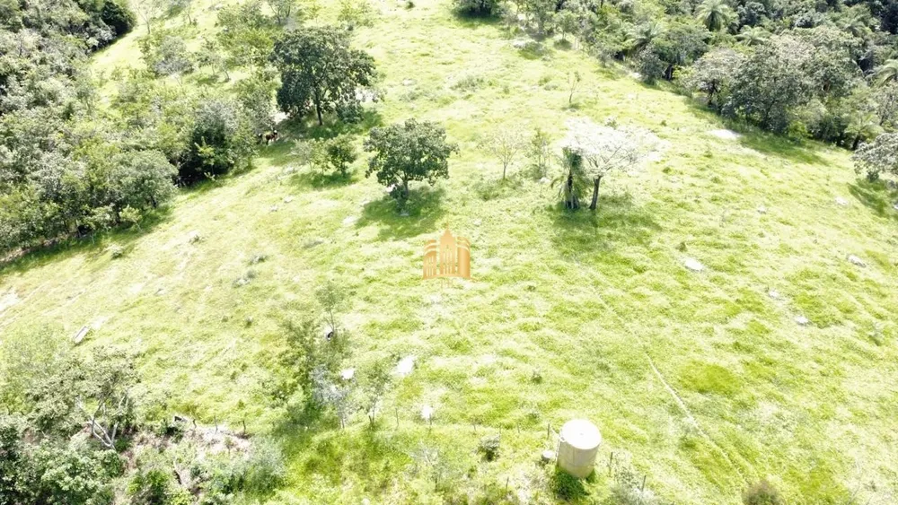 Fazenda, 35 hectares - Foto 3