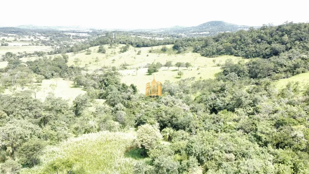 Fazenda, 35 hectares - Foto 1