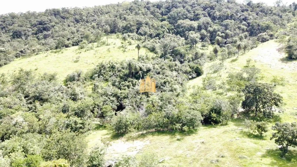 Fazenda, 35 hectares - Foto 2
