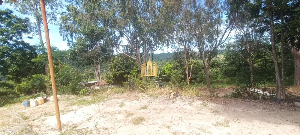 Fazenda, 35 hectares - Foto 8