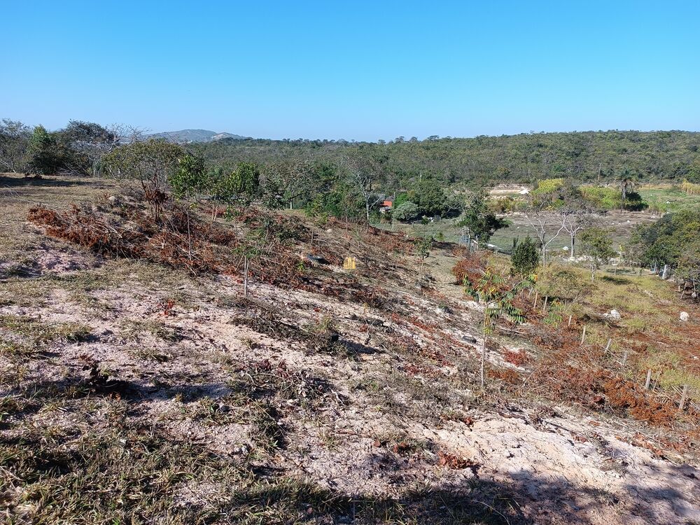 Terreno, 6000 m² - Foto 2